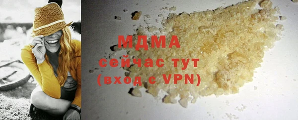 индика Богданович