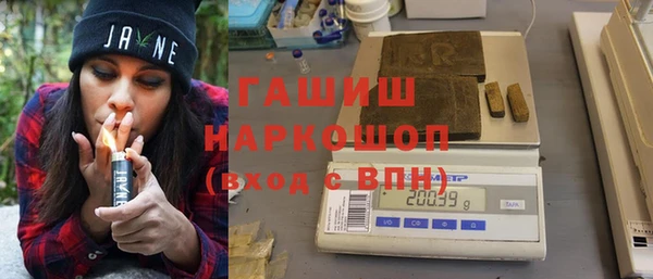 индика Богданович
