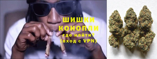 индика Богданович