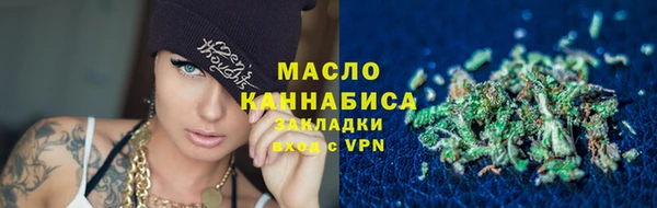 индика Богданович