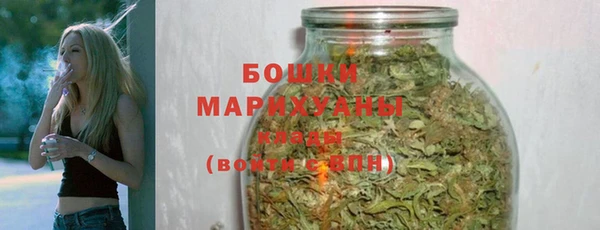 индика Богданович