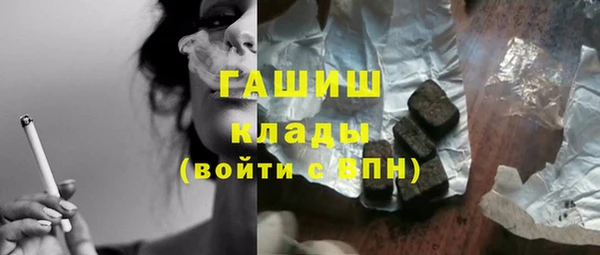 индика Богданович