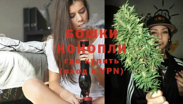 индика Богданович