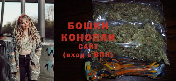 индика Богданович