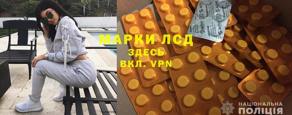 индика Богданович