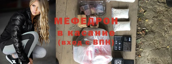 индика Богданович