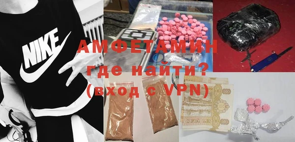 индика Богданович
