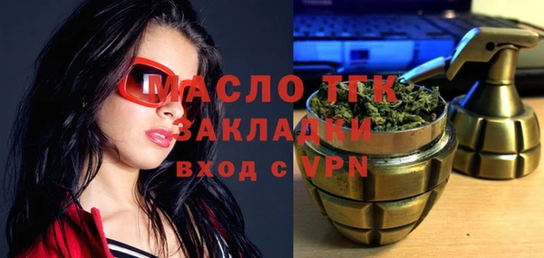 индика Богданович