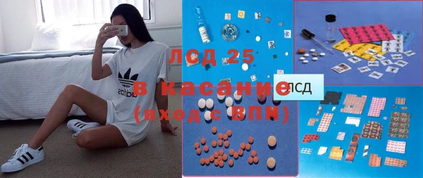 индика Богданович