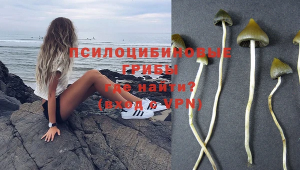 эйфоретик Богородицк