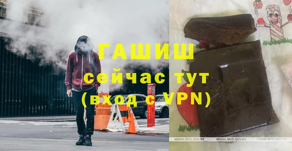 индика Богданович