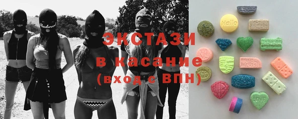 индика Богданович